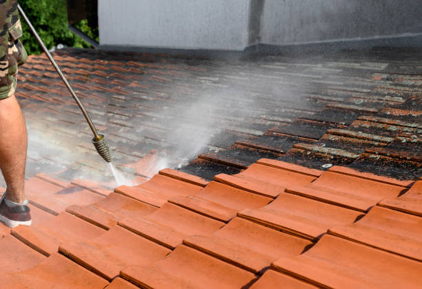 Best Affordable Pressure Washing  in Hollymead, VA