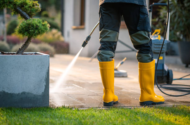 Best Pressure Washing Company Near Me  in Hollymead, VA